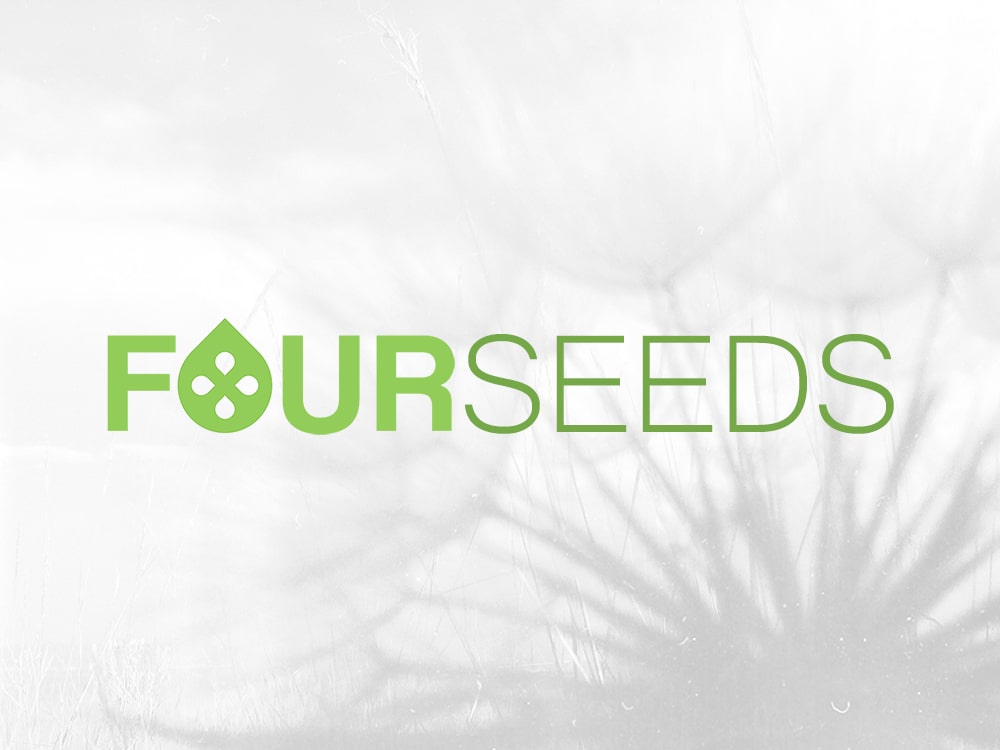 Fourseeds nutritional health logo design